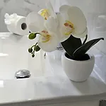 Reel Apartments- Luxury With Swimming Pool. Apartment *
