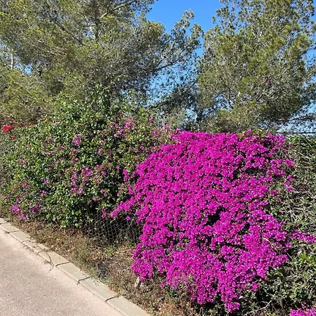 Apartment Reel Apartments- Luxury With Swimming Pool. *