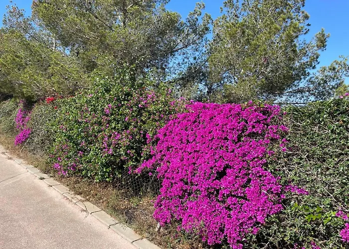 Apartment Reel Apartments- Luxury With Swimming Pool. *